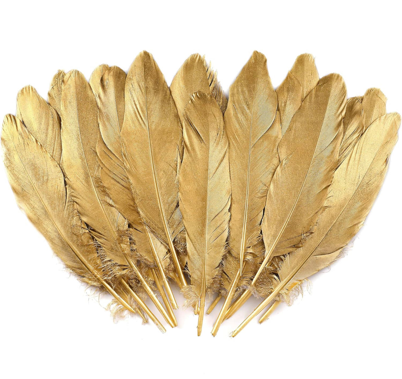 Feathers