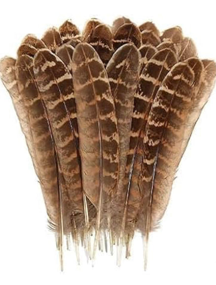 Feathers