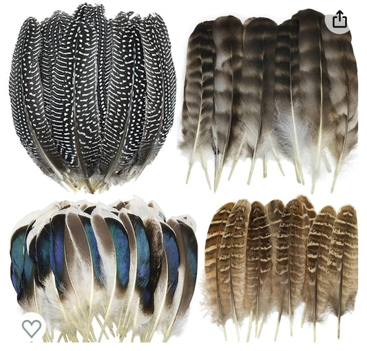 Feathers